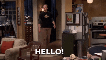 Season 9 Hello GIF by The Big Bang Theory
