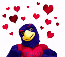 Valentines Day Love GIF by Fort Worth Country Day