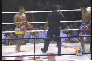 Kongtoranee GIF