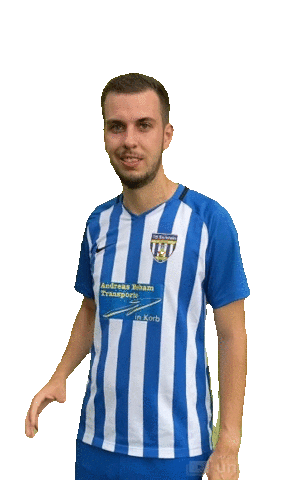 DMZWeinstadt Sticker