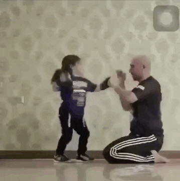 Self Defense GIF