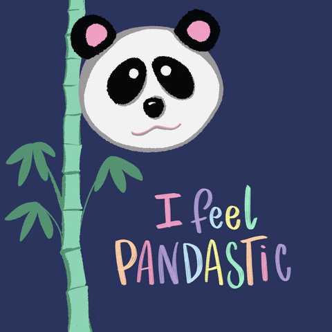 Mood Panda GIF