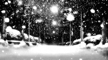 Video gif. A black and white low-angle shot of a snow filled street, with lamps lining the sidewalks. Snow slowly falls down.