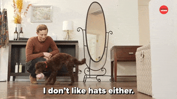 Dogs Bff GIF by BuzzFeed