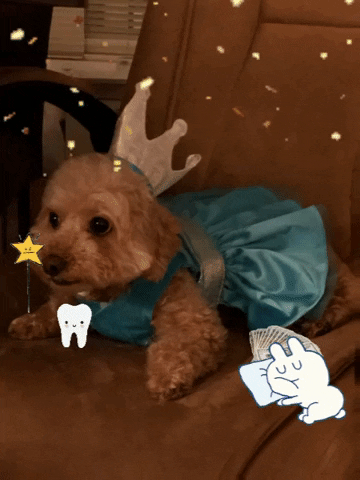 Dog GIF