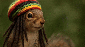 Rasta Rastafari GIF by Studio Voisier