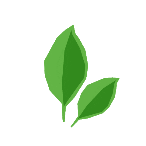 VAPIANO Austria Sticker