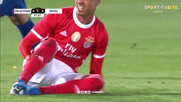Look At This Sl Benfica GIF by Sport Lisboa e Benfica