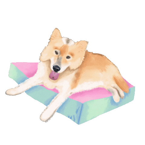 Dog Sticker