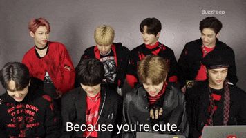 Stray Kids Youre Cute GIF by BuzzFeed
