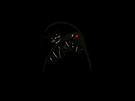 Rumskedi GIF