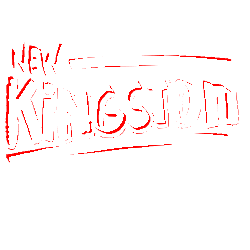 Dj Band Sticker by New Kingston