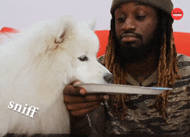 Puppy Sniff GIF by BuzzFeed
