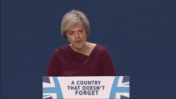 english party GIF by David Firth
