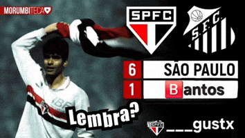 Sao Paulo Santos GIF