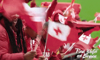 Rugby World Cup Fans GIF by Madman Films