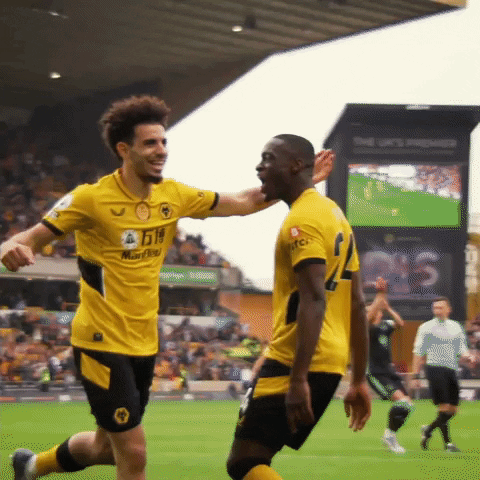 Celebrate Together Premier League GIF by Wolves