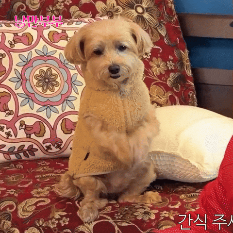 METACOMEDY GIF