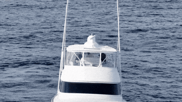 Boat Viking GIF by GEMLUX