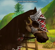 maddox  GIF