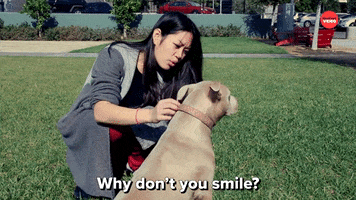 Dogs Smile GIF by BuzzFeed