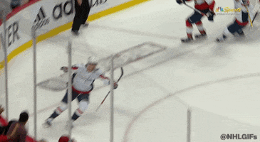 Flying Washington Capitals GIF by NHL