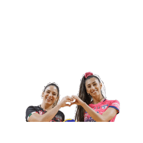 CDA Volley Talmassons FVG Sticker