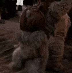 Cw wine GIF