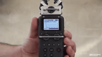 Zoom H5 GIF