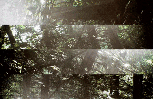 Art GIF