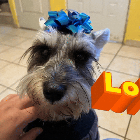 Dog GIF