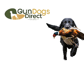 Gun Dogs Direct Sticker