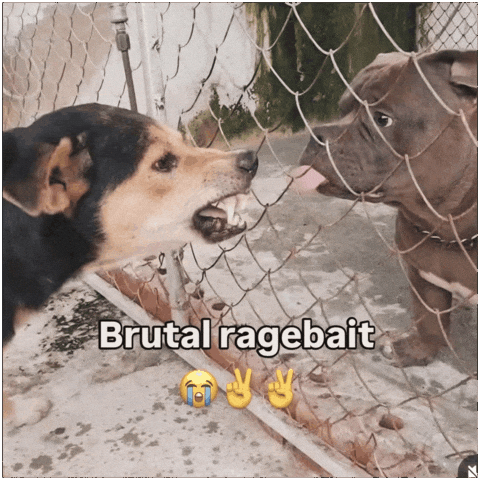 Dogs Rb GIF