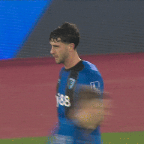 Sorry Premier League GIF by AFC Bournemouth