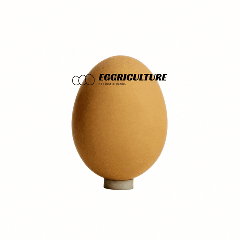eggriculture egg eggriculture brown egg organic egg GIF