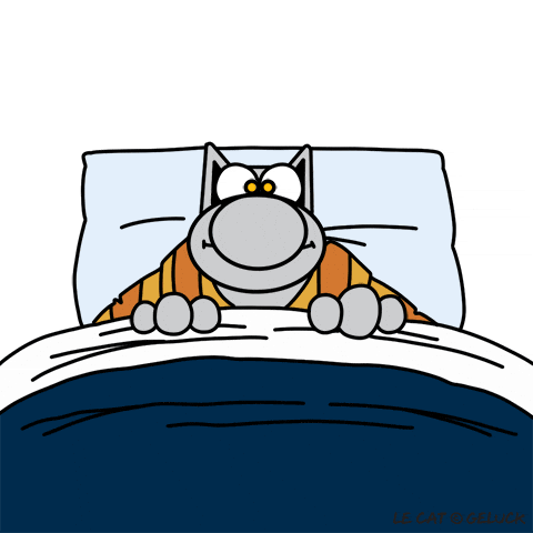 LE CAT © PHILIPPE GELUCK GIF
