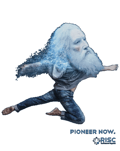 Teamrisc Sticker by risc_software