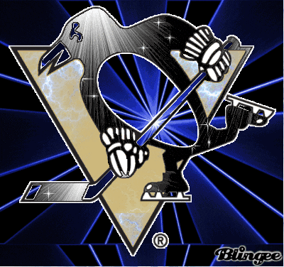 pittsburgh penguins
