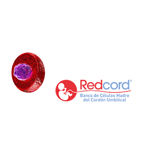 Cordon Umbilical GIF by Redcord Colombia