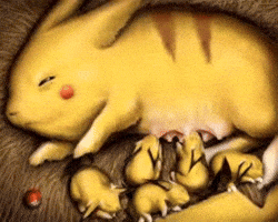 Pokemon Milk GIF