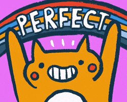 Cat Perfection GIF by Abitan