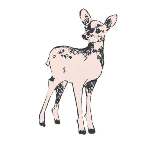 Deer Sticker by Little Planet