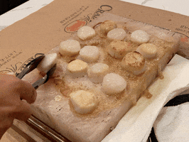 Seafood Scallops GIF by The Crab Place