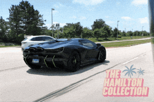 Revuelto GIF by TheHamiltonCollection