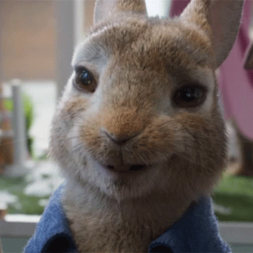 Domhnall Gleeson No GIF by Peter Rabbit Movie