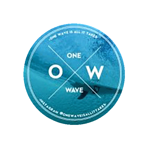 onewaveisallittakes Sticker