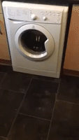 Laundry-cart GIFs - Get the best GIF on GIPHY