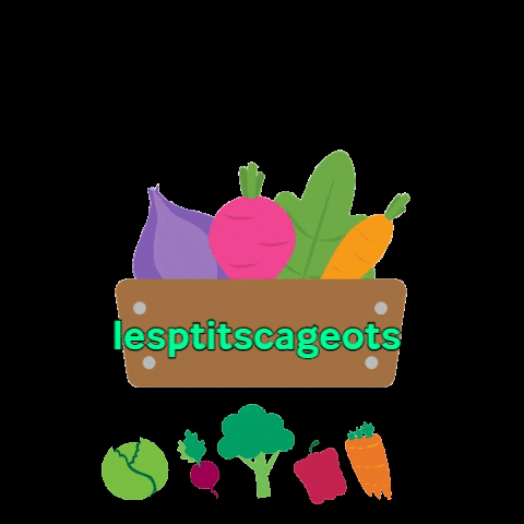 lesptitscageots vegetables legumes crate cageots GIF