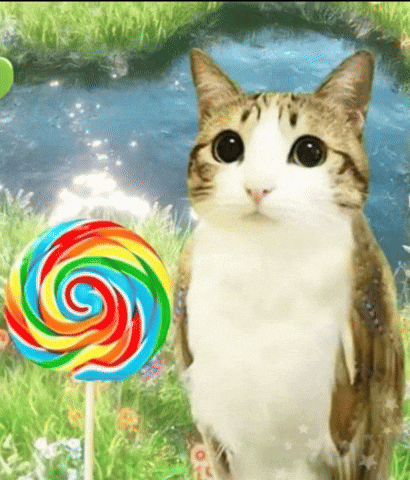 Happy Flower GIF
