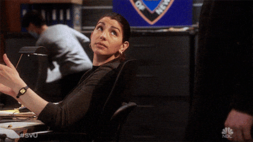 Episode 15 GIF by Law & Order